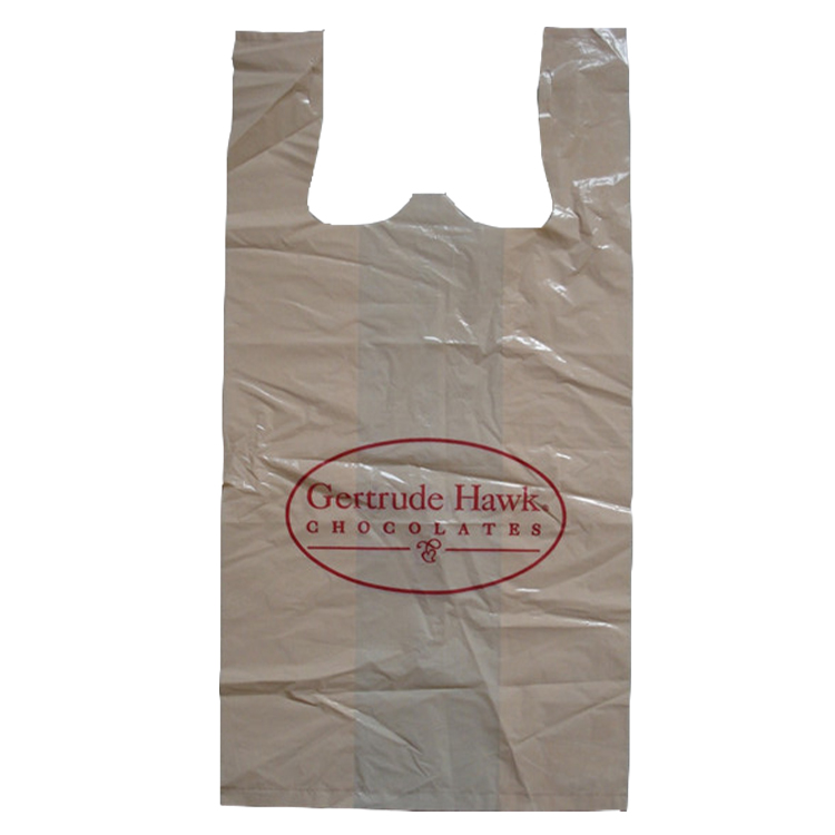 SINGLET BAG